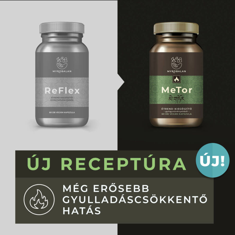 Myrobalan gyógykészítmények - Metor Gyulladáscsökkentő gyógynövény-komplex A MeTor gy&oacute;gyn&ouml;v&eacute;nyes k&eacute;sz&iacute;tm&eacute;ny 18 