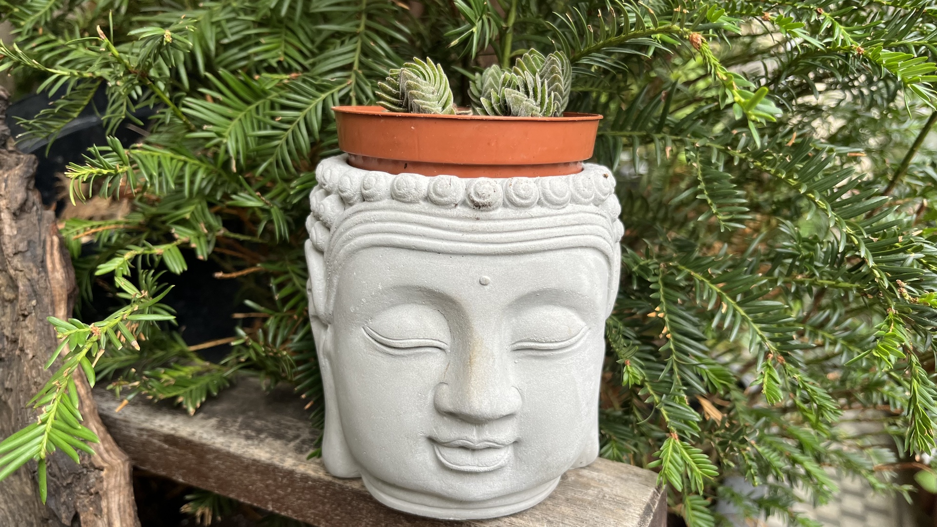 Buddha szobrok - Buddha fej kaspó Szürke Gyönyörű Buddha fej kaspó, mely bármelyik növény ékes dísze lehet és&nbsp;p 